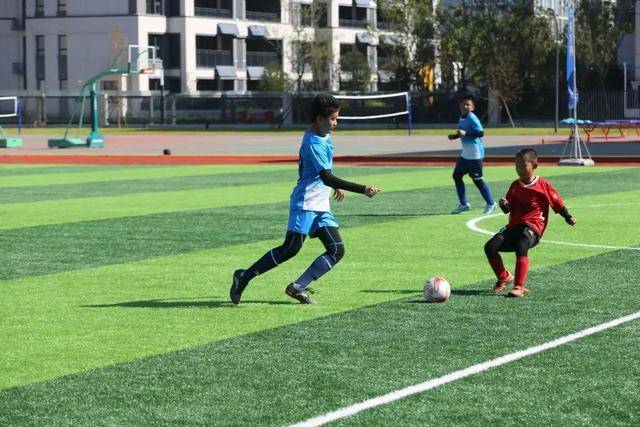 哈利33+15步行者力克热火 华子低迷狼队负绿军